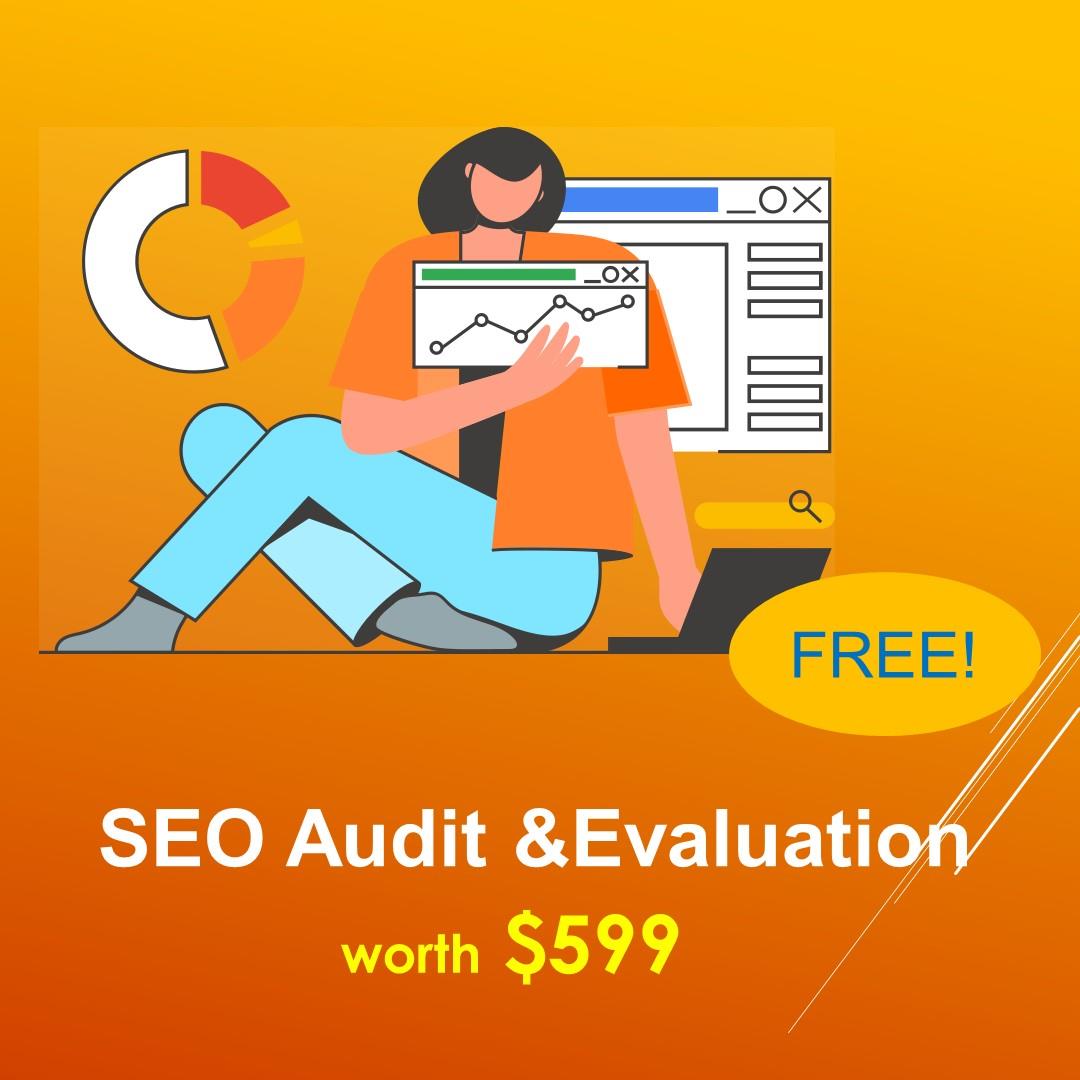 SEO Audit Evaluation